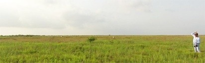 TNC-KelsoGoliad