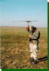 Radio-tracking Greater Prairie-Chickens in the Oklahoma prairie using a directional antenna.