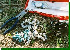 Equipment used for measuring and banding the prairie-chickens.