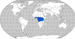 Distribution: African Grey Parrots are found in the central part of Africa.