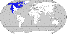 Distribution: The Common Raven is a year-round resident throughout most of Canada, Alaska, the western and northeastern United States, along the Appalachians, and south into Central America.