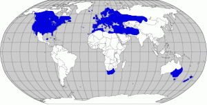 Distribution: European Starlings are found on most continents. In North America, they range from coast to coast and from northern Canada to southern Mexico, usually preferring the lower grasslands over mountainous regions.