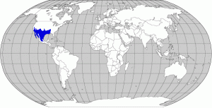 Distribution: Greater Roadrunners are found across parts of the southwestern and south-central United States and south into Central America.