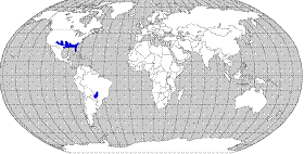 Distribution: Mississippi Kites are found through parts of southeastern and central United States and are known to migrate to central South America.