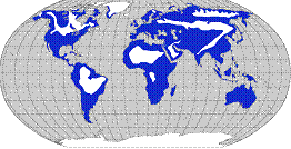 Distribution: Peregrines are found on every continent except Antarctica and live in a variety of habitats from tropics to deserts, from sea level to 12,000 feet.