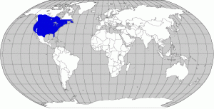 Distribution: Striped skunks are commonly found throughout North America as well as parts of Canada and northern Mexico.